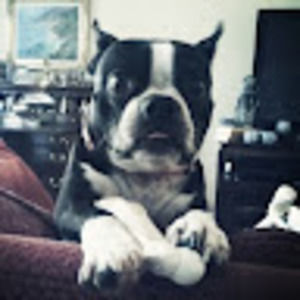 Meet your Posher, Meredith